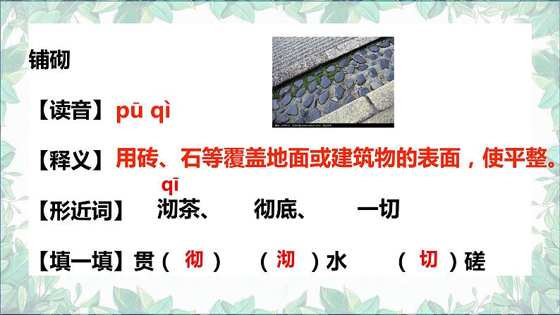 2022-2023学年部编版语文八年级上册五六单元复习课件04