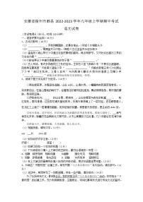 安徽省宿州市泗县2022-2023学年九年级上学期期中考试语文试卷(含答案)