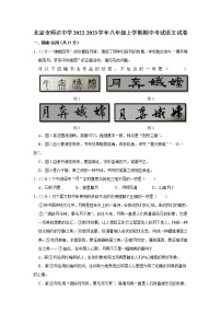 北京市师达中学2022-2023学年八年级上学期期中考试语文试卷(含答案)