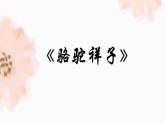 2022-2023学年部编版语文七年级下册名著导读《骆驼祥子》 课件
