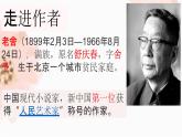 2022-2023学年部编版语文七年级下册名著导读《骆驼祥子》 课件