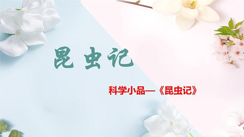 2022-2023学年部编版语文八年级上册《昆虫记》课件第1页