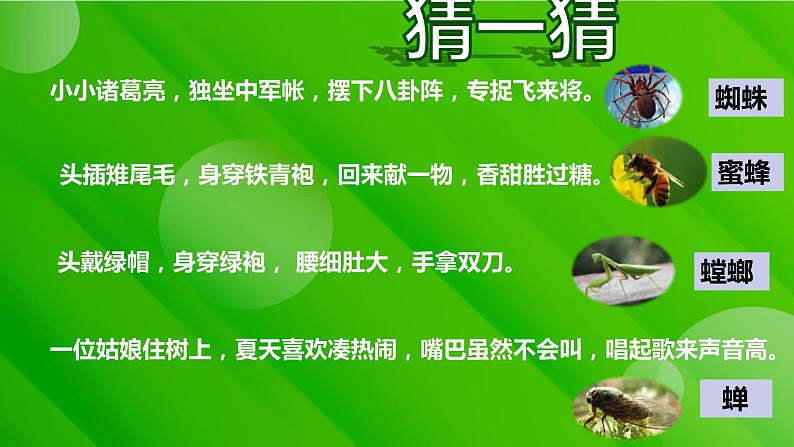 2022-2023学年部编版语文八年级上册《昆虫记》课件第2页