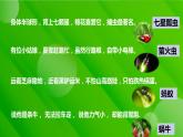 2022-2023学年部编版语文八年级上册《昆虫记》课件