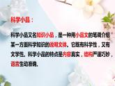 2022-2023学年部编版语文八年级上册《昆虫记》课件