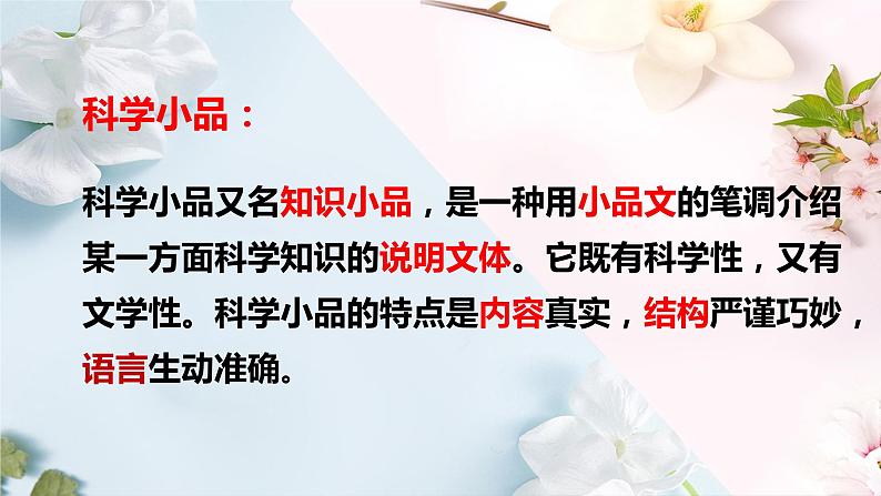 2022-2023学年部编版语文八年级上册《昆虫记》课件第4页