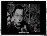 2022-2023学年部编版语文八年级下册《傅雷家书》课件