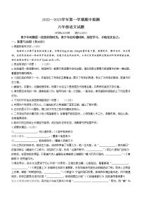 山东省聊城市东阿县2022-2023学年八年级上学期期中语文试题(含答案)