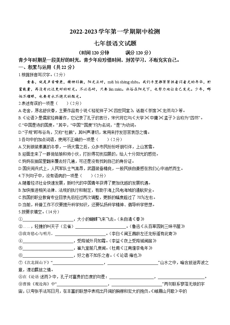 山东省聊城市东阿县2022-2023学年七年级上学期期中语文试题(含答案)01