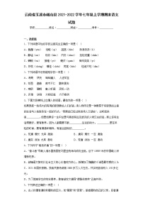 云南省玉溪市峨山县2021-2022学年七年级上学期期末语文试题(含答案)