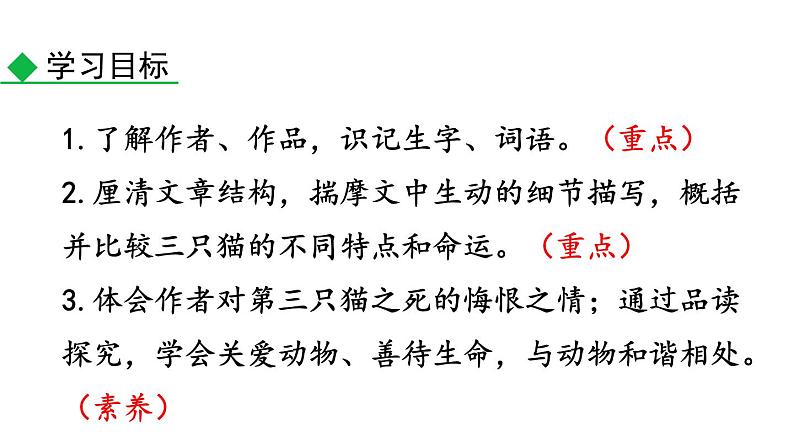 部编版七年级语文上册--第16课《猫》课件04