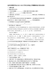 宜兴外国语学校2022-2023学年九年级上学期期中复习语文试卷