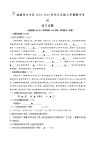 盐城市大丰区2022-2023学年九年级上学期期中考试语文试题（含答案）
