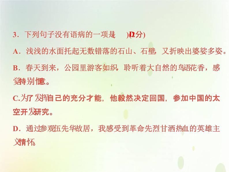 中考语文复习考前冲刺八课件07