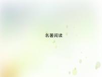 中考语文复习第四部分名著阅读B组课件