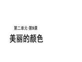 【教学课件】美丽的颜色参考课件