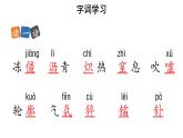 【教学课件】美丽的颜色参考课件