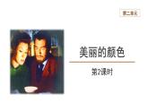 【教学课件】美丽的颜色第2课时精品课件