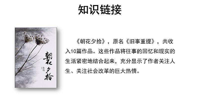 【教学课件】藤野先生第1课时示范课件05