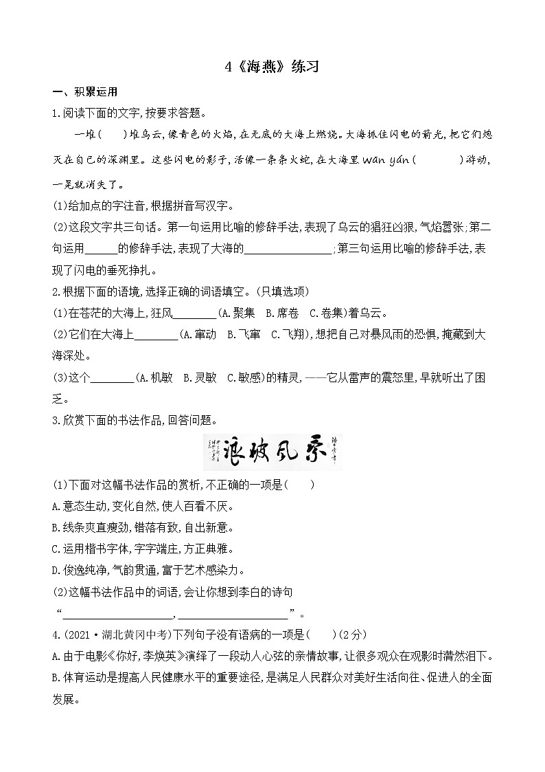 部编版9下语文 4《海燕》课件+教案+练习+说课稿+素材01