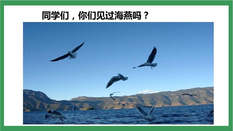 部编版9下语文 4《海燕》课件+教案+练习+说课稿+素材02