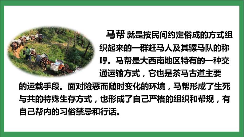 部编版9下语文 7《溜索》课件+教案+练习+说课稿08