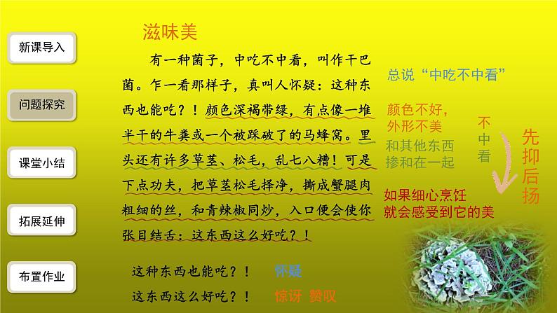 【教学课件】昆明的雨第2课时精品课件06