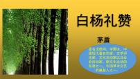 初中语文人教部编版八年级上册14 白杨礼赞教学课件ppt