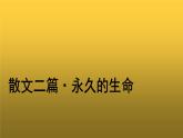 人教版八年级上册永久的生命参考课件