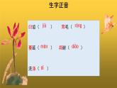人教版八年级上册永久的生命示范课件
