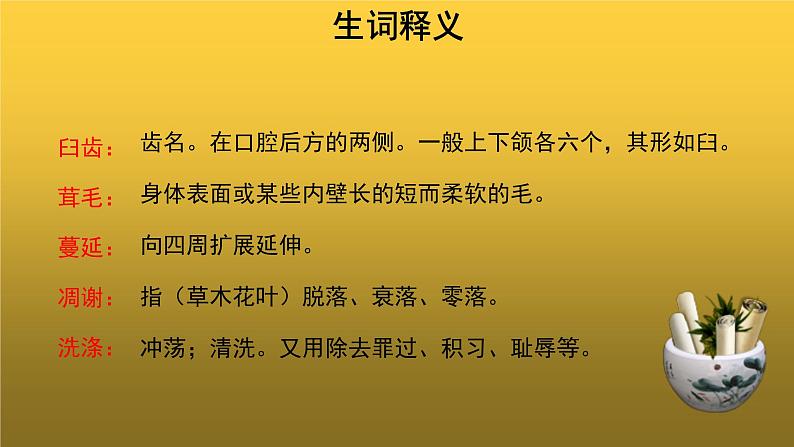 人教版八年级上册永久的生命示范课件第5页
