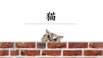 初中语文人教部编版七年级上册第五单元16 猫备课ppt课件