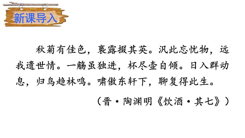 9《精神的三间小屋》课件第2页