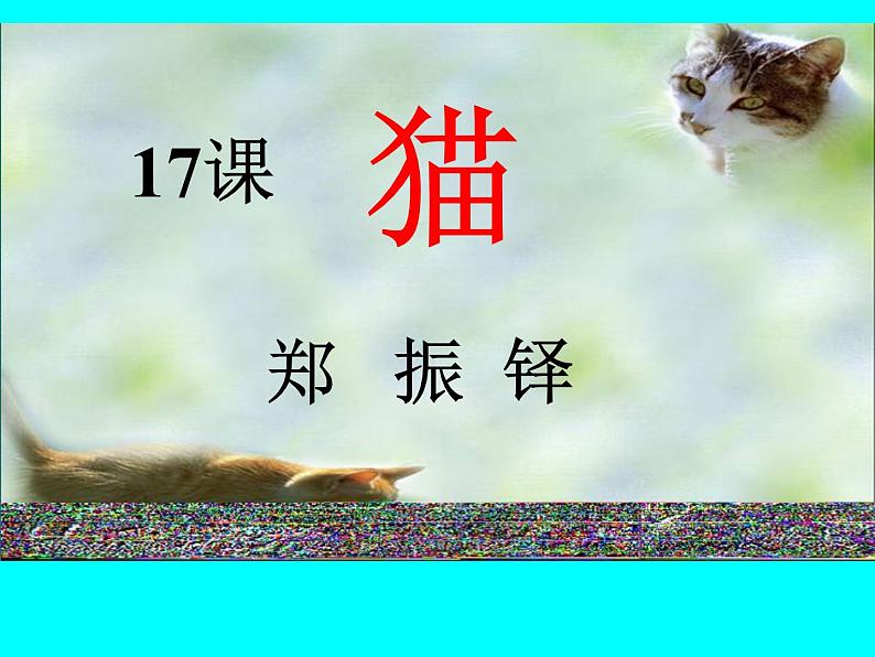 猫 教学课件04