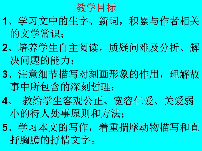 猫 教学课件07