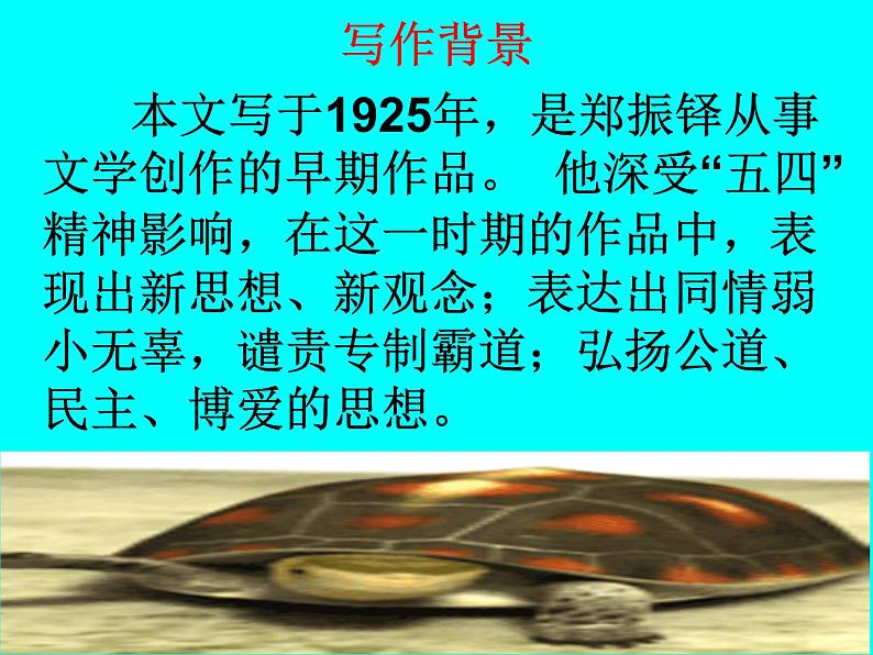 猫 教学课件08