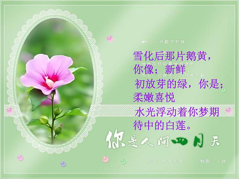 5你是人间四月天课件08