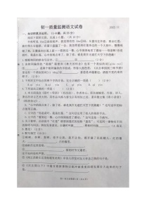 黑龙江省齐齐哈尔市铁锋区2022-2023学年七年级上学期期中质量监测语文试题（含答案）