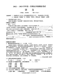 安徽省芜湖市第二十九中学2022-2023学年九年级上学期期中考试语文试题（含答案）