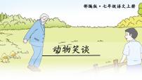 语文七年级上册动物笑谈课文课件ppt