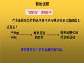 【教学课件】蝉第二课时示范课件