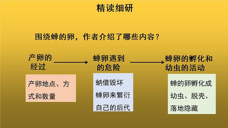 【教学课件】蝉第二课时示范课件第3页