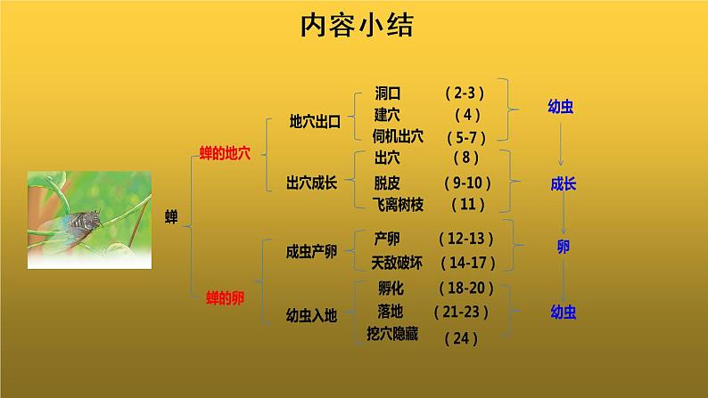 【教学课件】蝉第二课时示范课件第5页