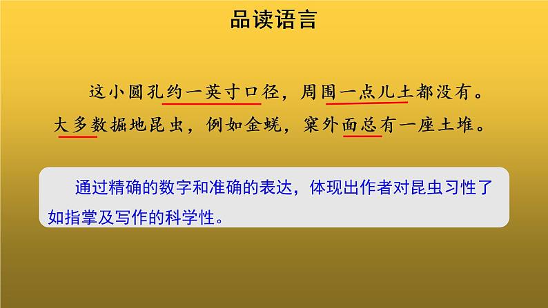 【教学课件】蝉第二课时示范课件第8页