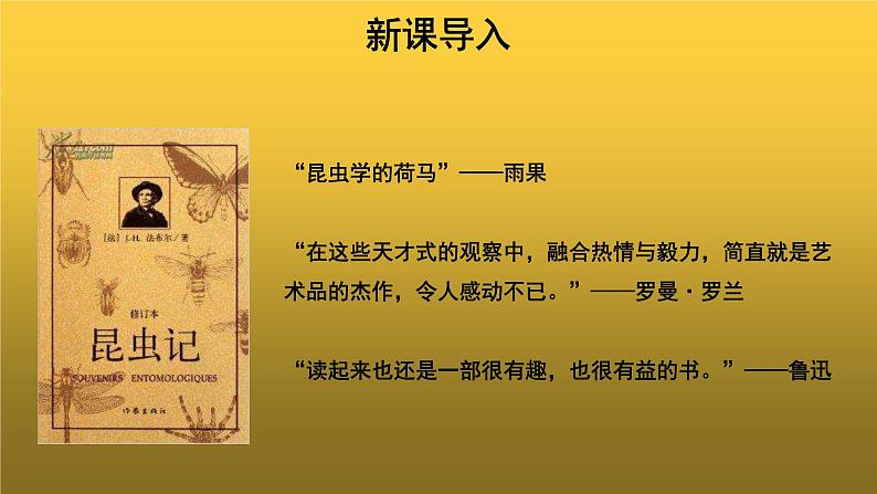 【教学课件】名著导读《昆虫记》参考课件03