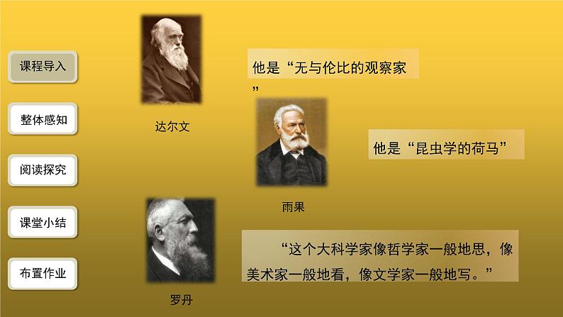 【教学课件】名著导读《昆虫记》第1课时精品课件02