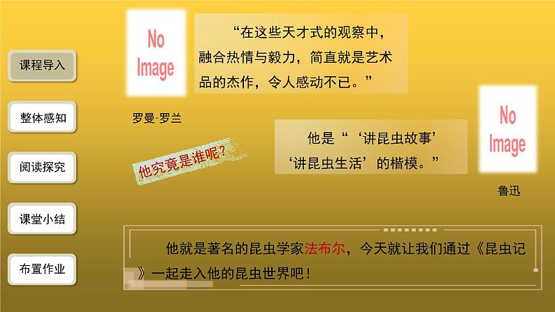 【教学课件】名著导读《昆虫记》第1课时精品课件03