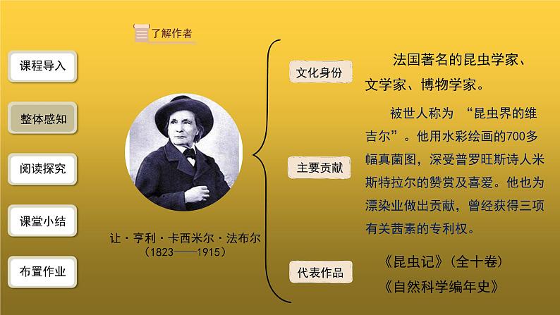 【教学课件】名著导读《昆虫记》第1课时精品课件05