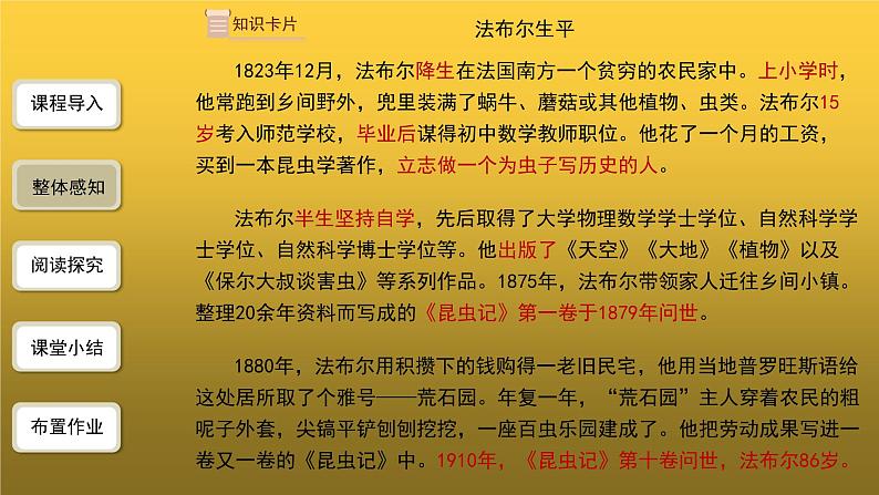 【教学课件】名著导读《昆虫记》第1课时精品课件06