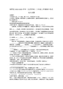 河南省新野县2022-2023学年（五四学制）八年级上学期期中考试语文试题(含答案)
